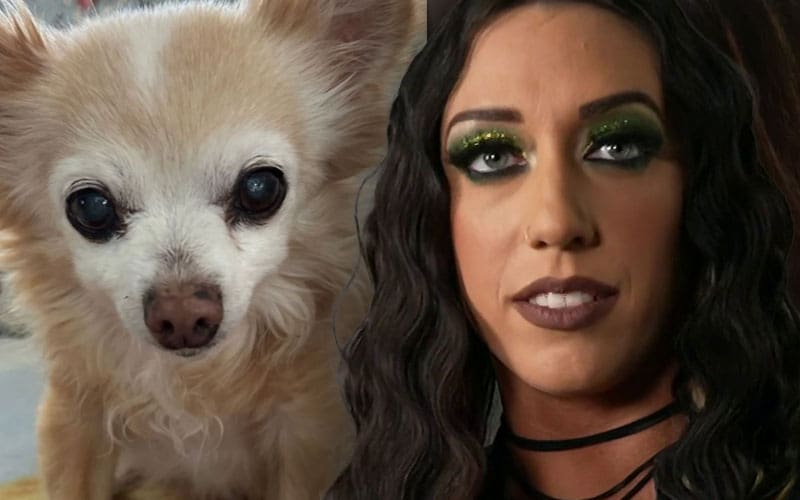 Sad news: WWE NXT’s Jacy Jayne mourns the loss of her beloved dog.