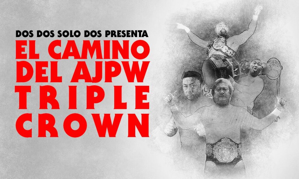 The path of the AJPW Triple Crown 24: 2004 (I)