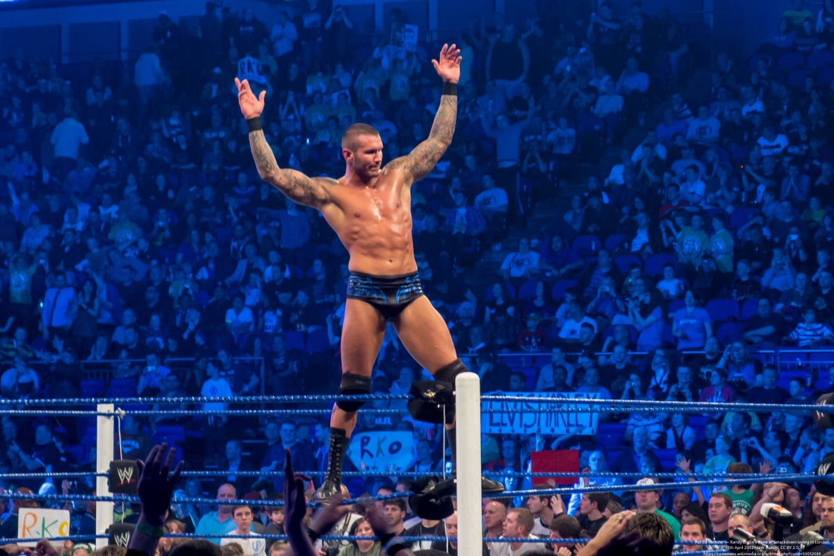 unexpected wrestling stars –
